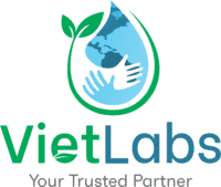 lĩnh vực hoạt động